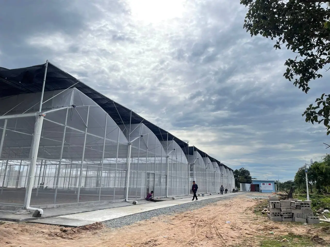 Nethouse Construction